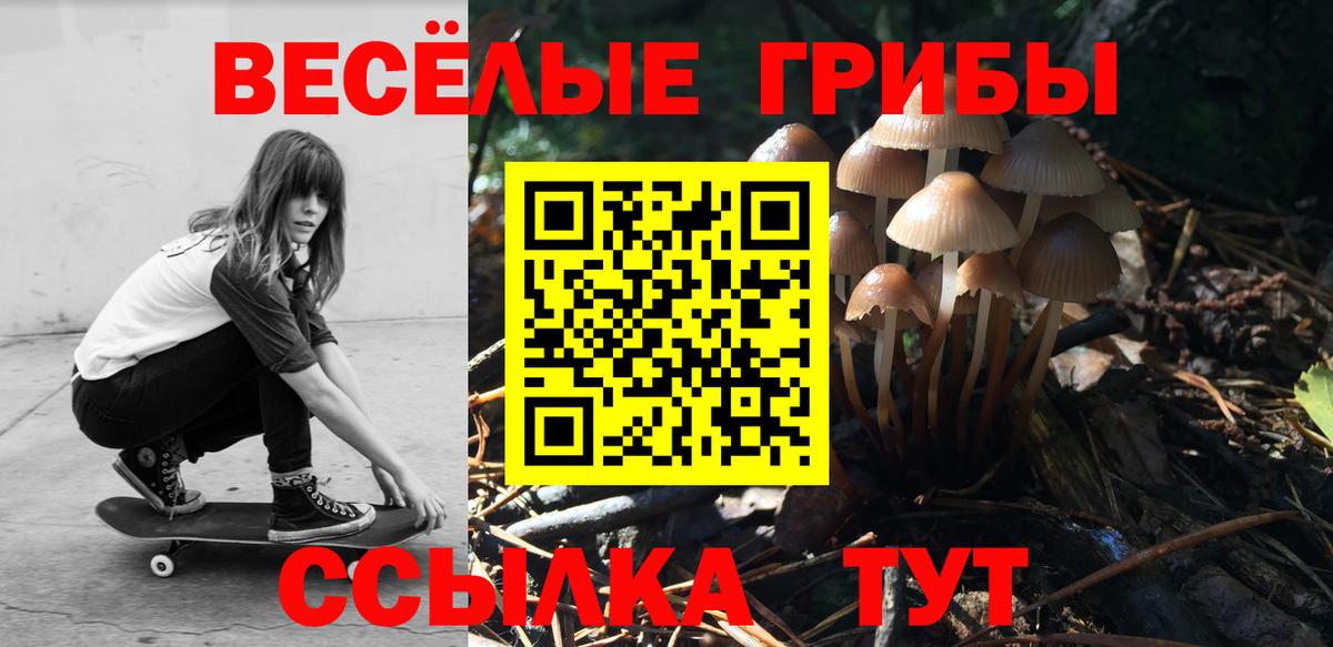 Галлюциногенные грибы Psilocybine cubensis  Псилоцибиновые грибы MAGIC MUSHROOMS  Вход с VPN  Углич 