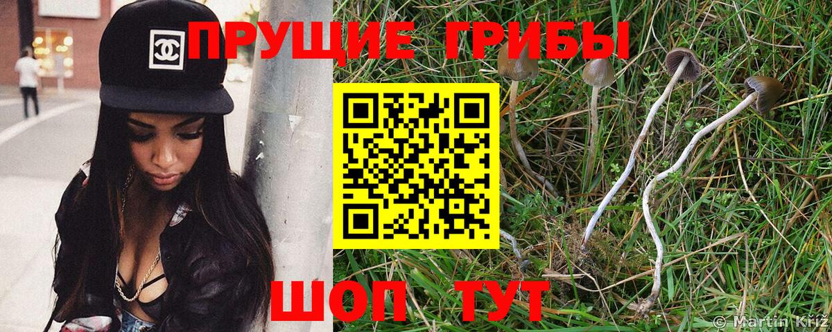Галлюциногенные грибы Magic Shrooms Углич